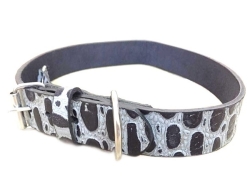 Dog Collar Snake Textured