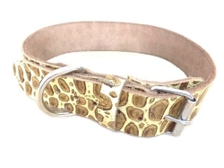 Dog Collar Snake Textured 