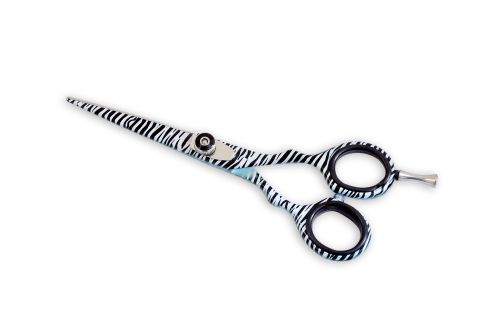 Professional Barber Scissors